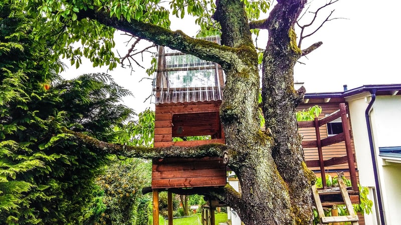 Treehouse Retreat
